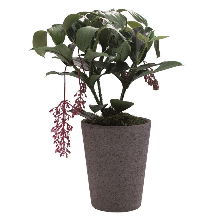 Pot conique Etrusca gris Ø 22,5 cm