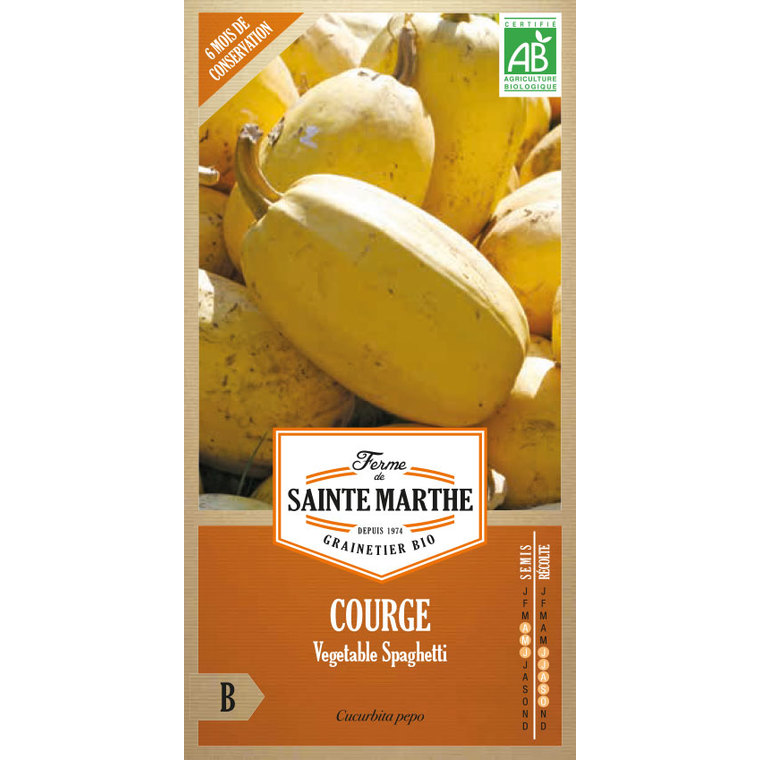 Courgette Spaghetti Végétal