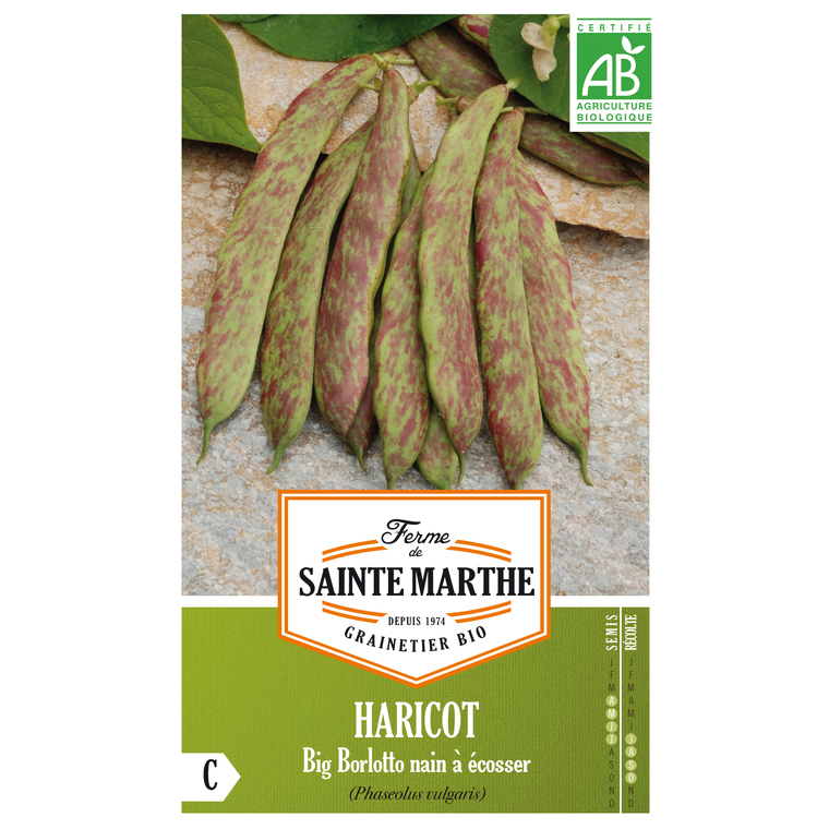 Haricot Big Borlotto Bio