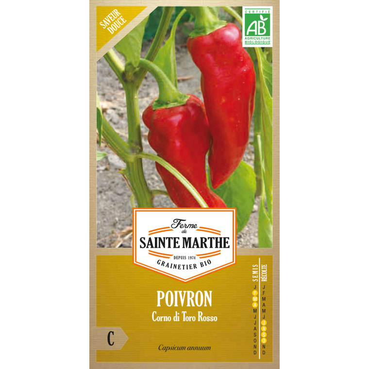 Piment Corno Di Toro Rosso