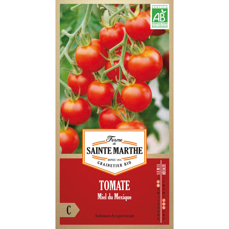 Tomate Miel du Mexique