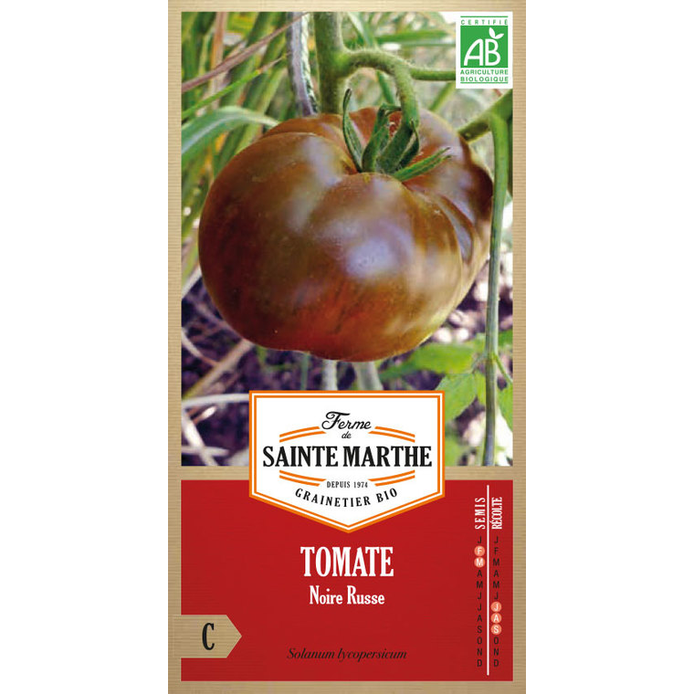 Tomate Noire Russe