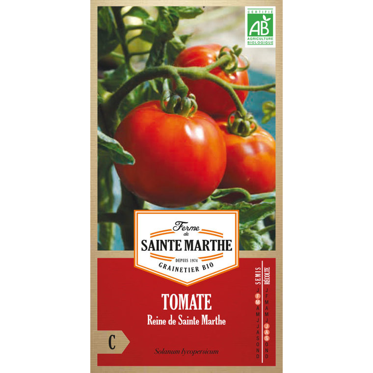 Tomate Reine de Sainte Marthe