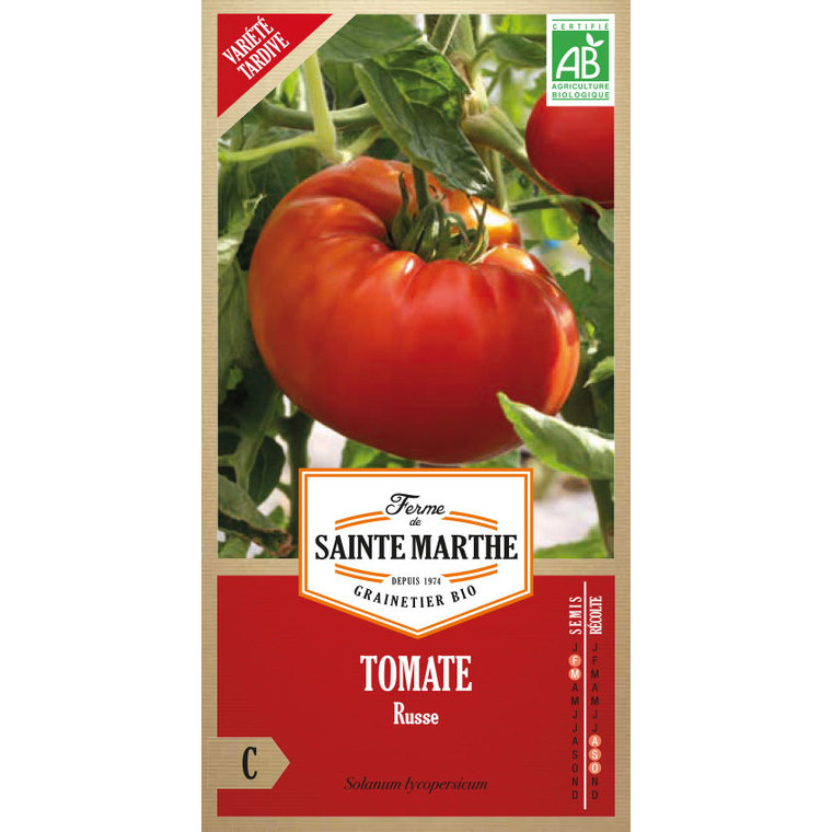 Tomate Russe