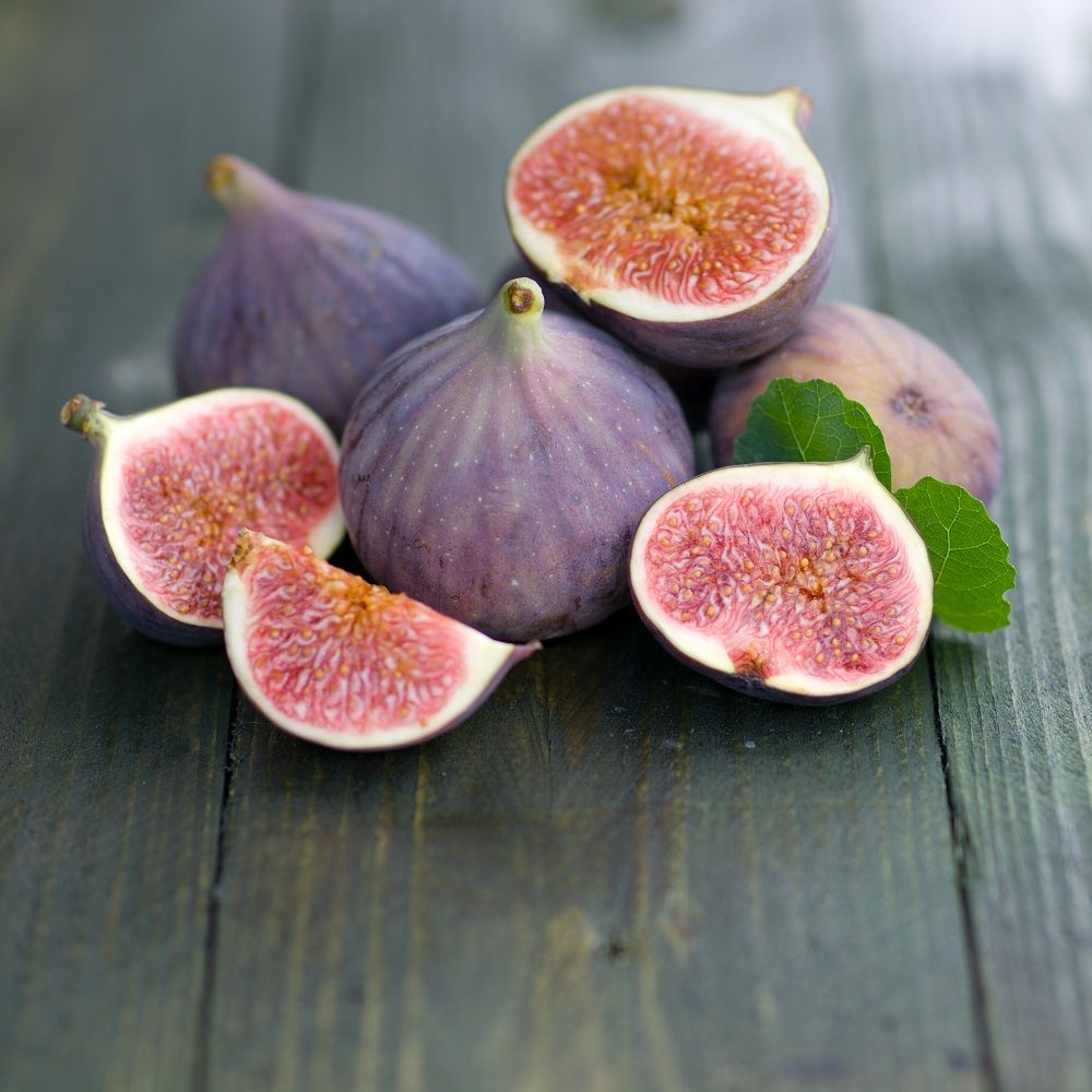 Figuier 'Grise de Tarascon'