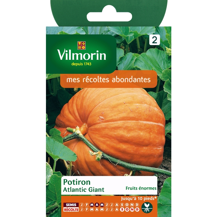 Potiron atlantic