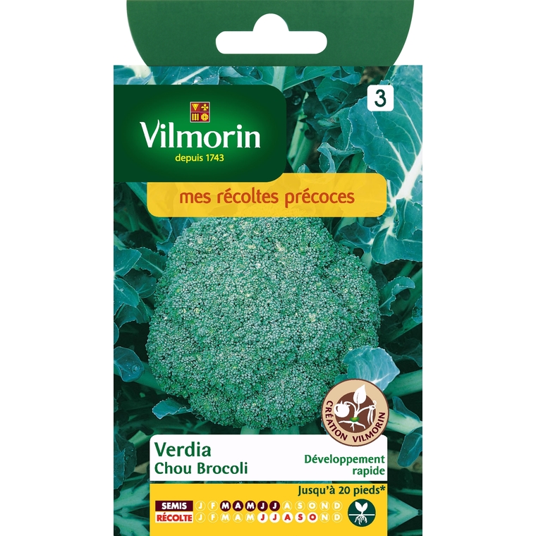 Chou brocoli verdia