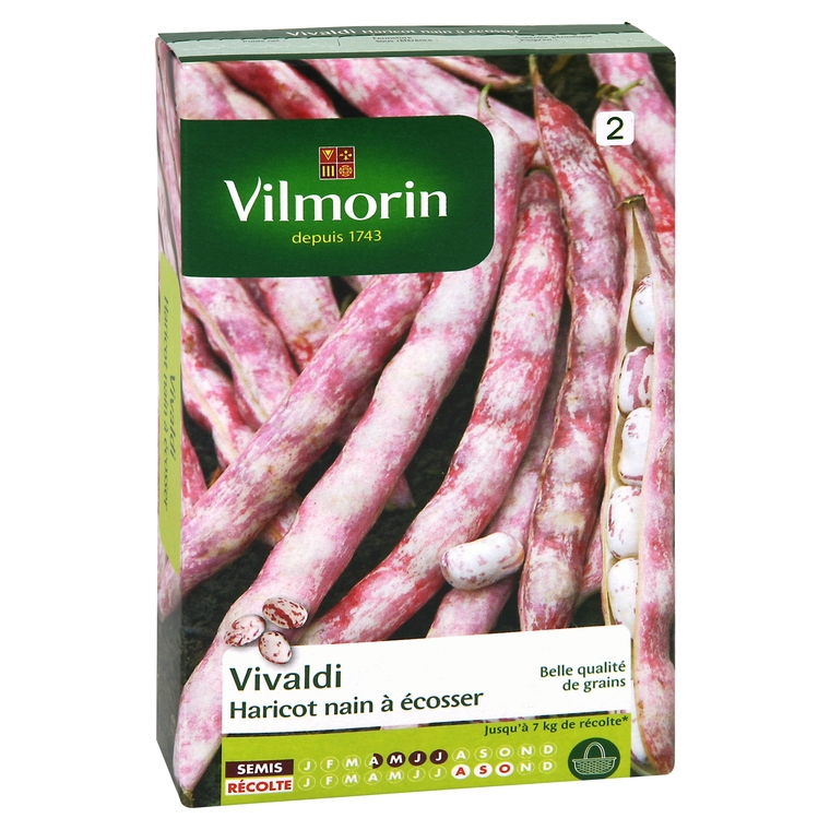 Haricot vivaldi 200 g