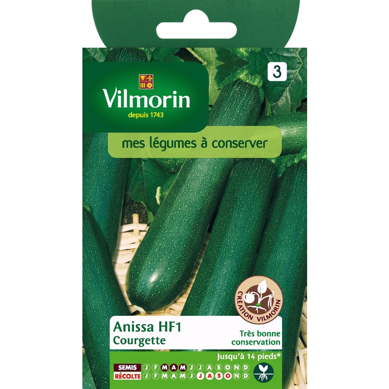 Courgette anissa HF1