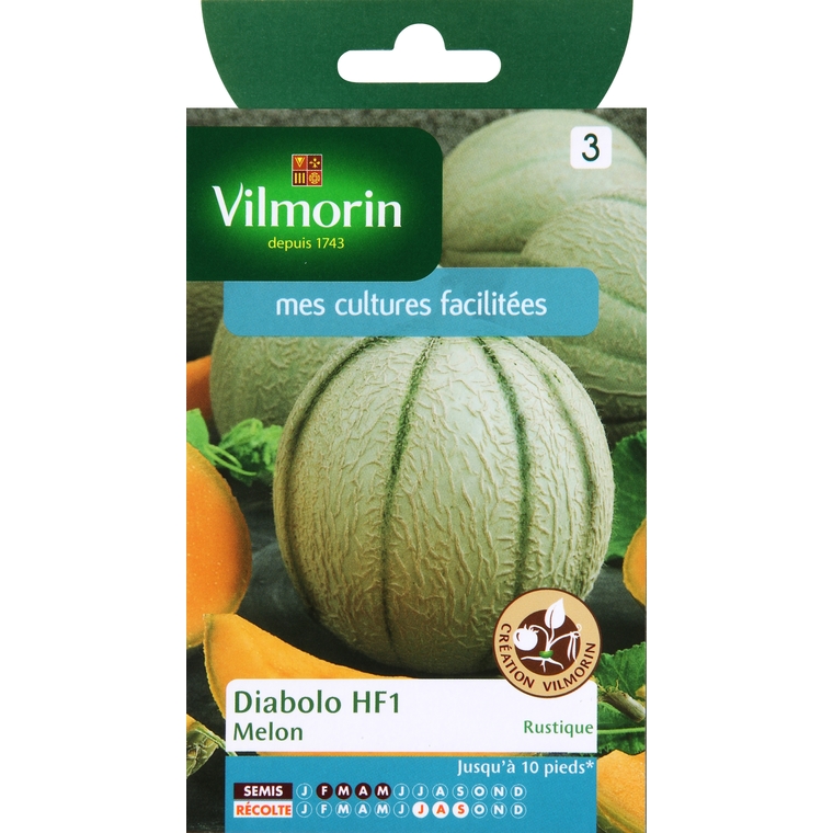 Melon diabolo