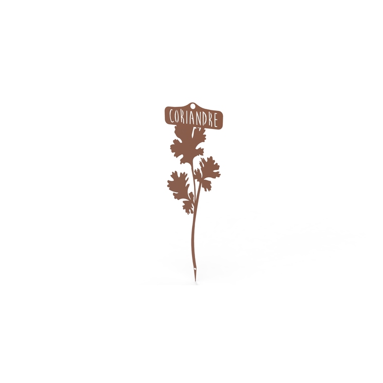 Étiquette Coriandre 34,5 cm