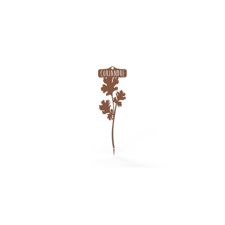 Étiquette Coriandre 22,3 cm