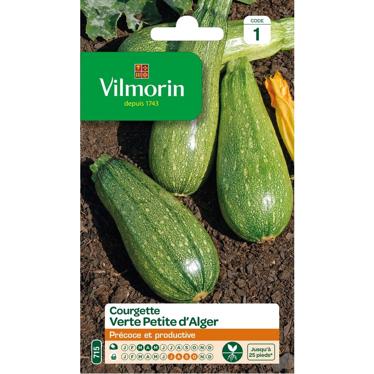 Semences pour courgette verte de la variété petit alger - 1 m