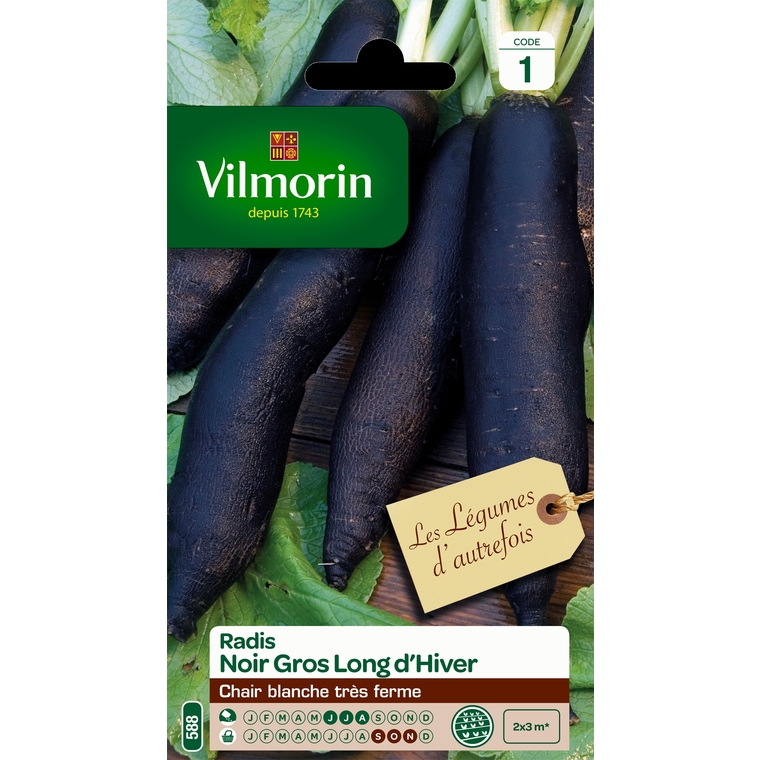 Semences pour radis noir de la variété gros long d'hiver - 1 m
