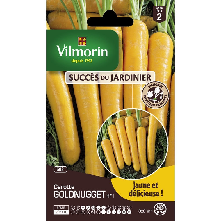 Semences pour carotte hybride de la variété goldnugget  - 2 m