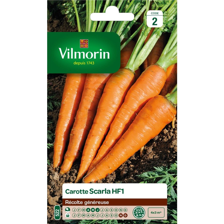 Semences pour carotte hybride de la variété scarla - 2 m