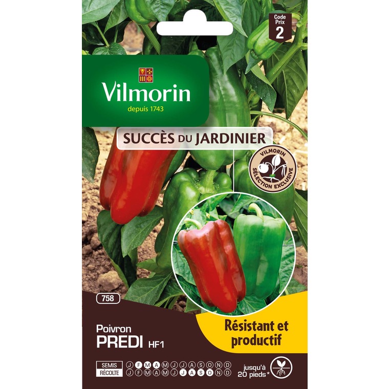 Semences pour poivron hybride de la variété predi - 2 m