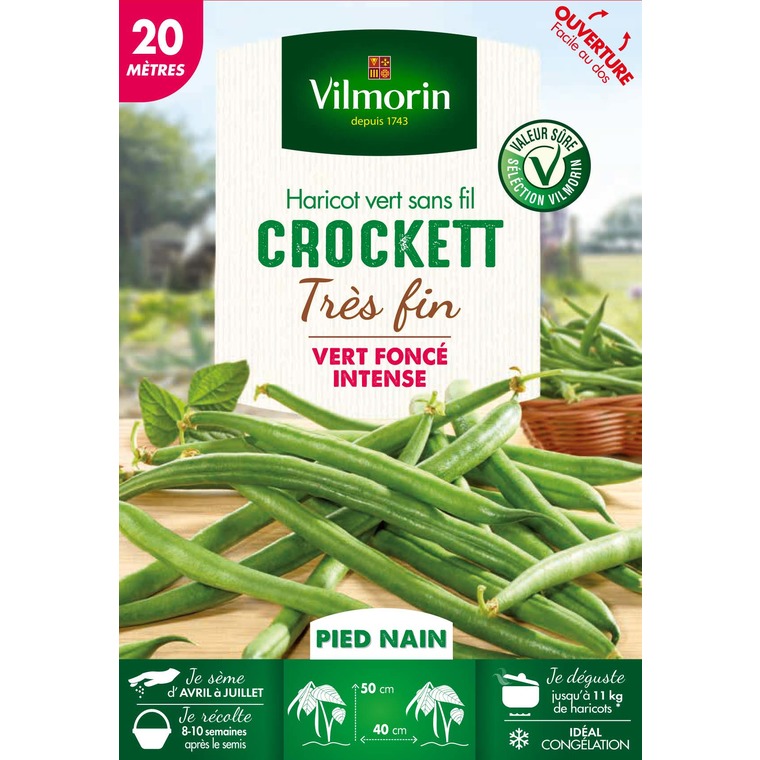 Semences pour haricot nain de la variété crockett - 20 m