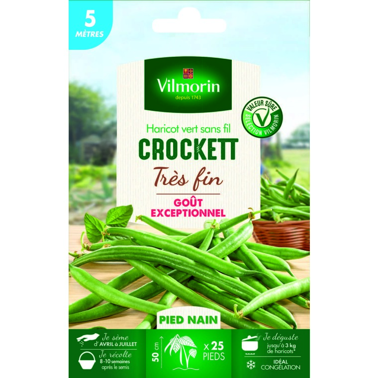 Semences pour haricot nain de la variété crockett - 5 m