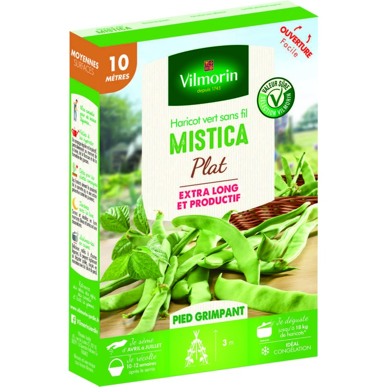Semences pour haricot nain de la variété mistica - 10 m