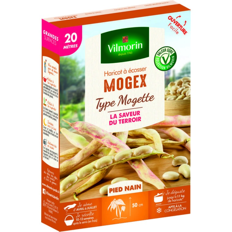 Semences pour haricot nain de la variété mogex - 20 m