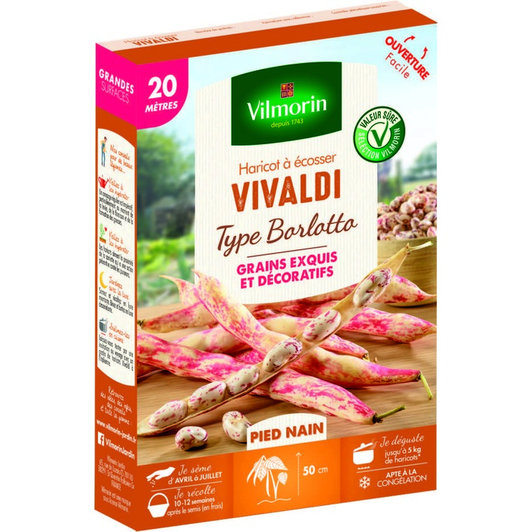 Semences pour haricot nain de la variété vivaldi - 20 m