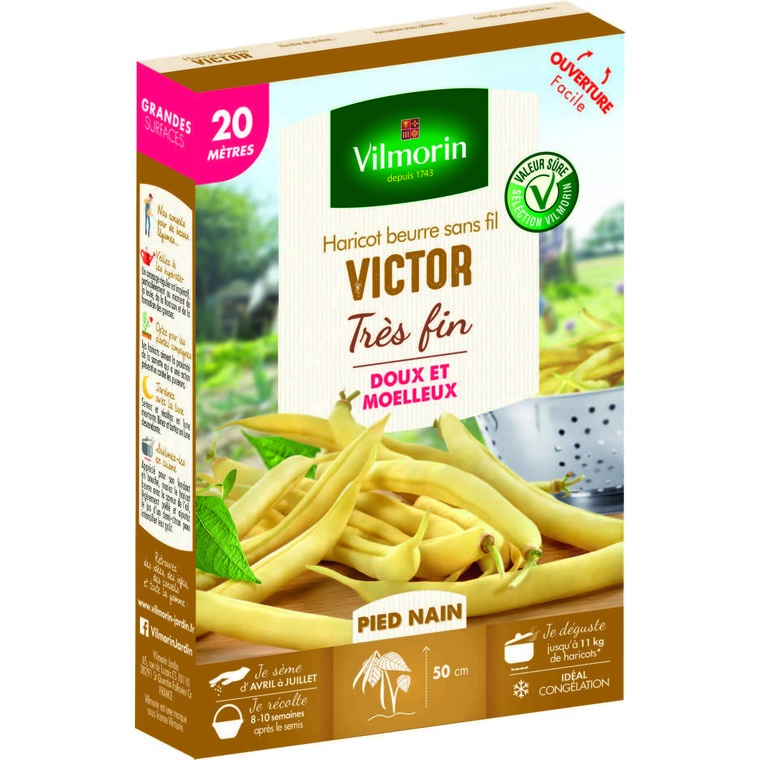 Semences pour haricot nain de la variété victor - 20 m