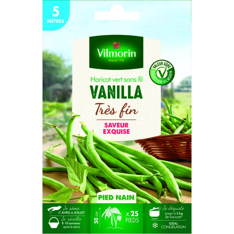 Semences pour haricot nain de la variété vanilla - 5 m