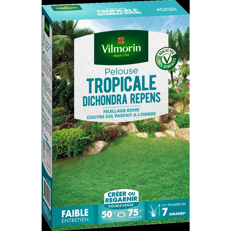 Pelouse tropicale dichondra repens 500 g