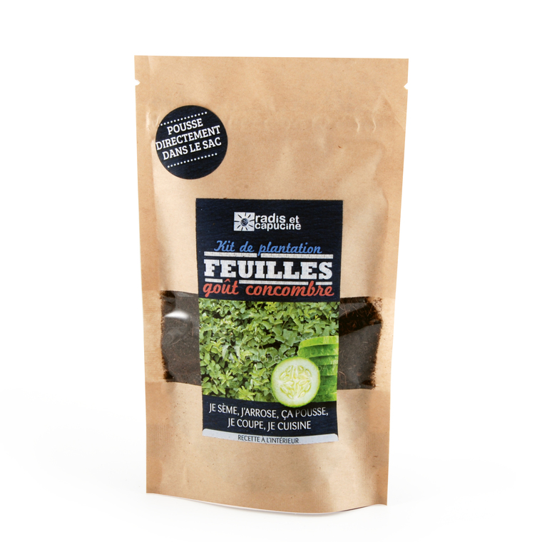 Kit de plantations pour graines de pimprenelle