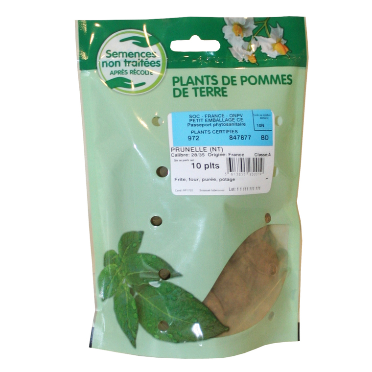 10 plants de pommes de terre prunelle calibre 28 à 35