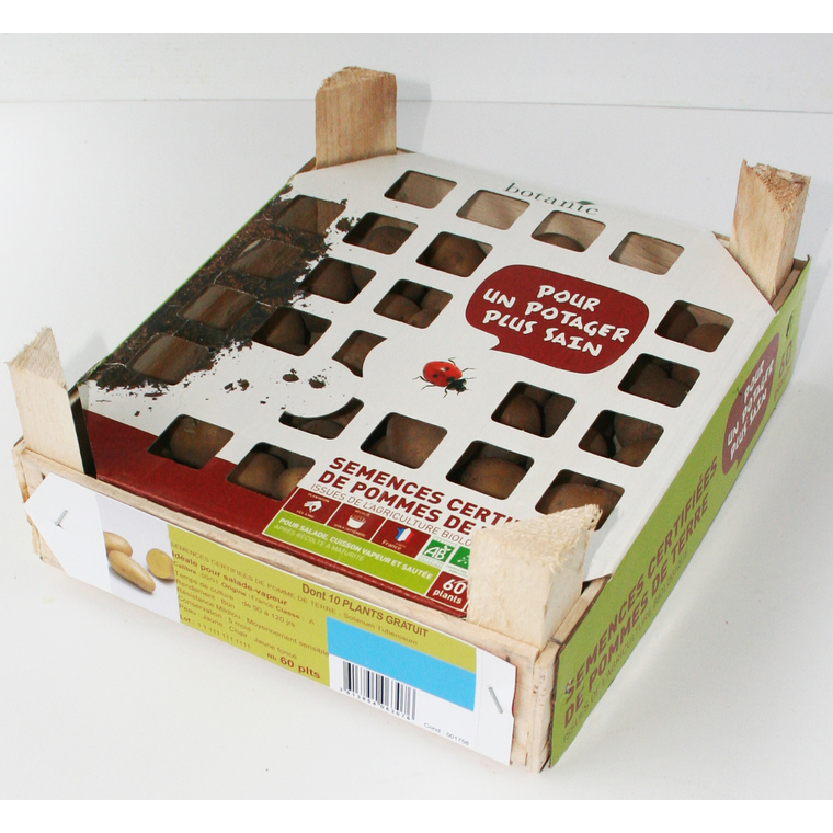 60 plants de pommes de terre charlotte bio calibre 0001