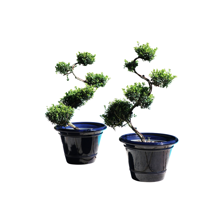 Pot bleu gamme le toscane Ø 58 cm