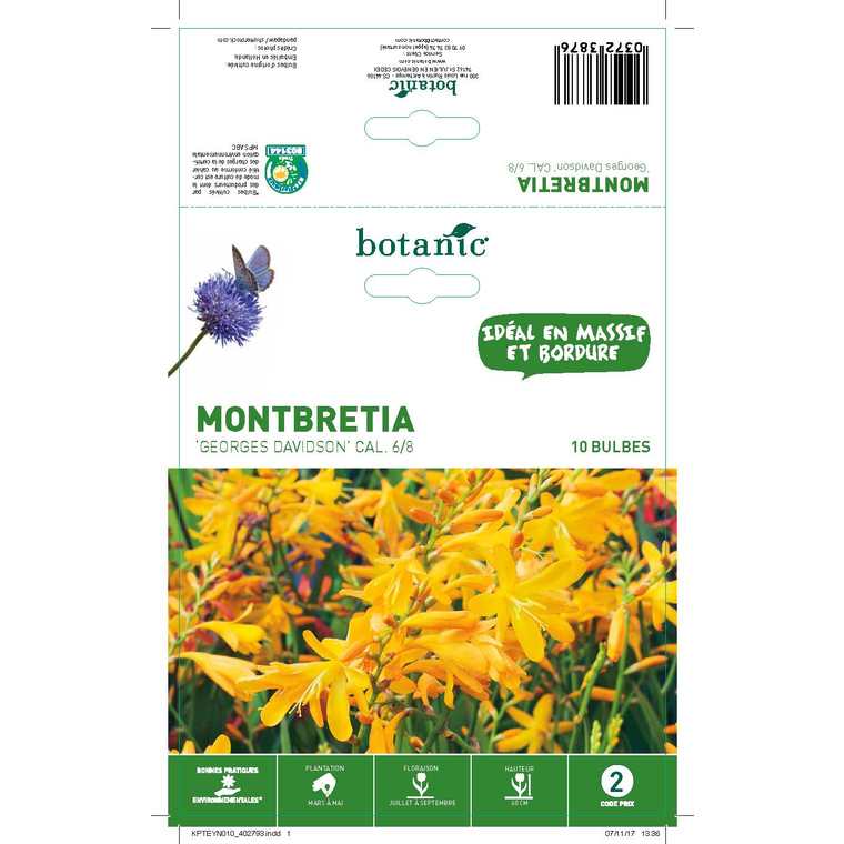 Montbretia orange 10 bulbes de calibre 6 à 8 – 2 m