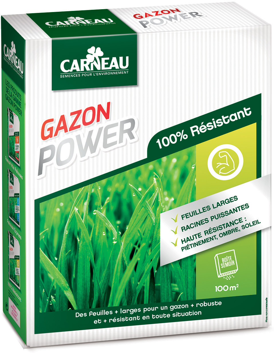 Gazon haute résistance Power 2,5kg