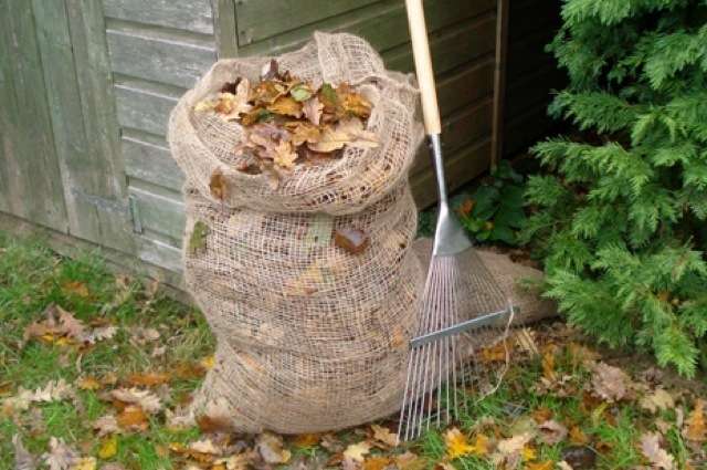 Sachets de Compostage de Feuilles - Burgon et Ball