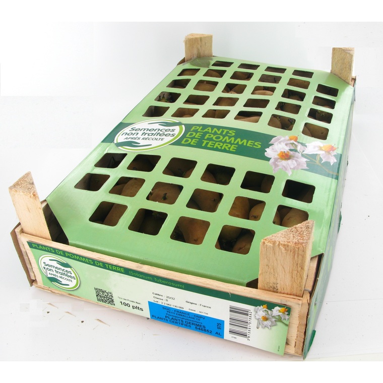 Pommes de terre Monalisa calibre 28/35, 100 plants