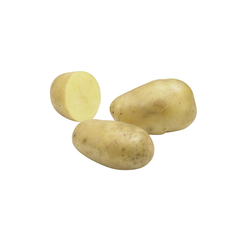 Pommes de terre Élodie calibre 28/35, 10 plants