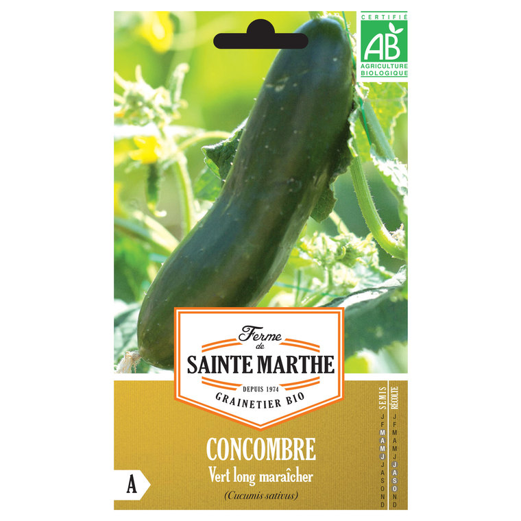 Concombre Vert Long Maraîcher