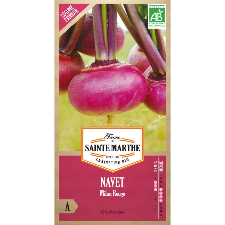 Navet de Milan Rouge