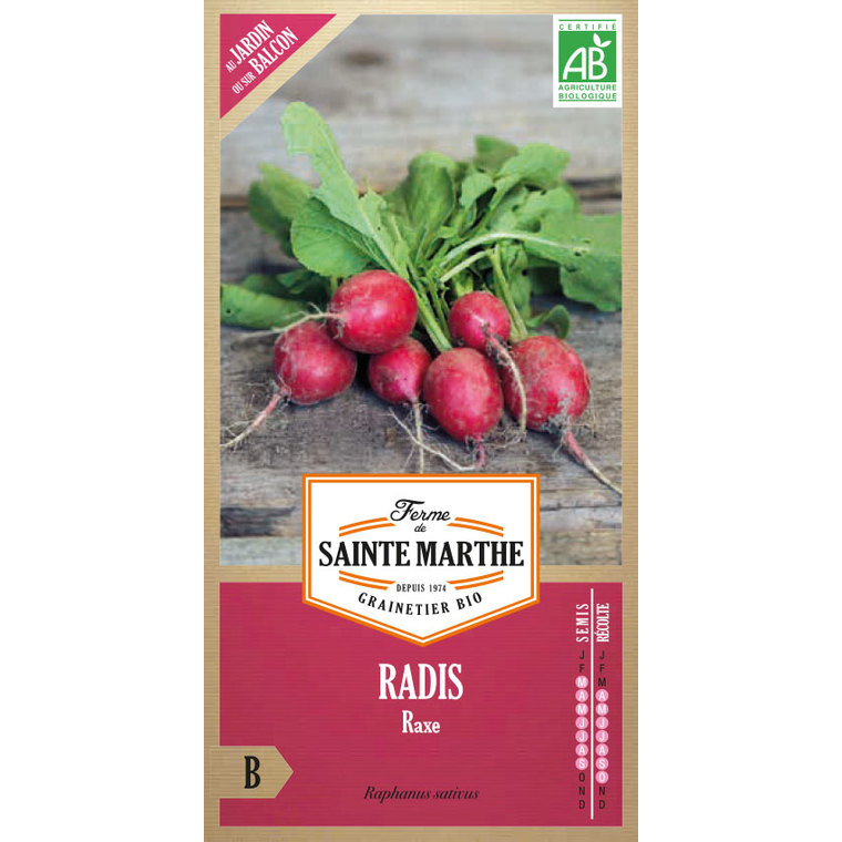 Radis Raxe