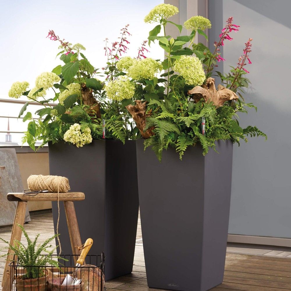 Pot Lechuza Cubico Color L40 H75 cm anthracite