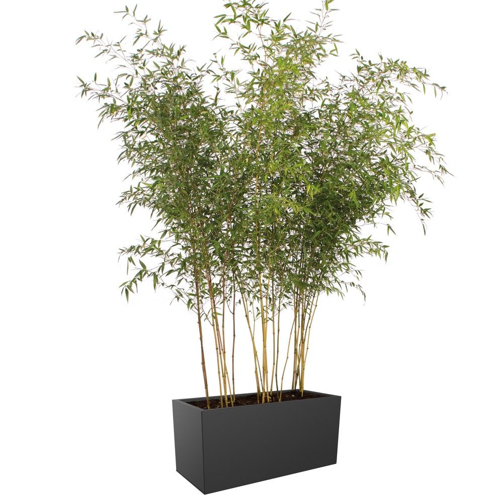Bac à fleurs Elho Vivo L88 H41 cm gris mat