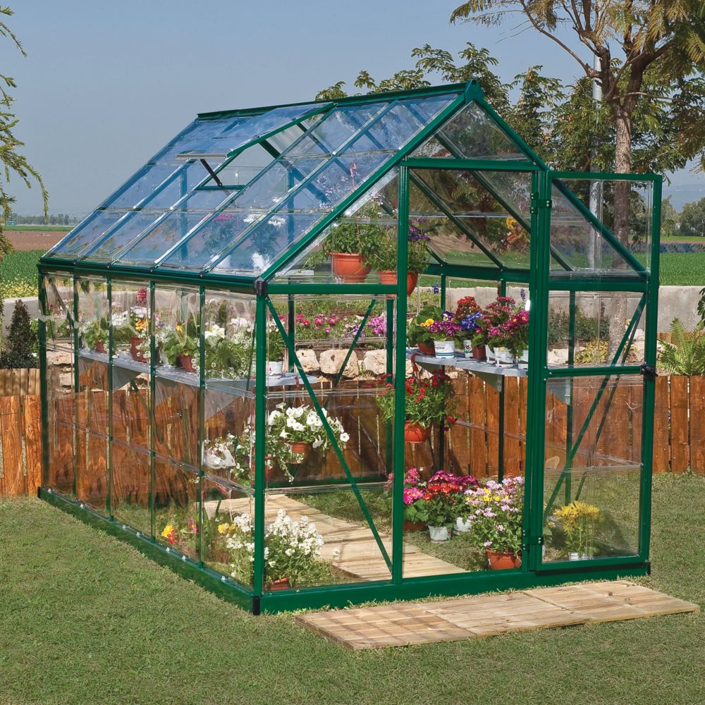 Serre polycarbonate Harmony vert 5.7 m² - Palram Canopia