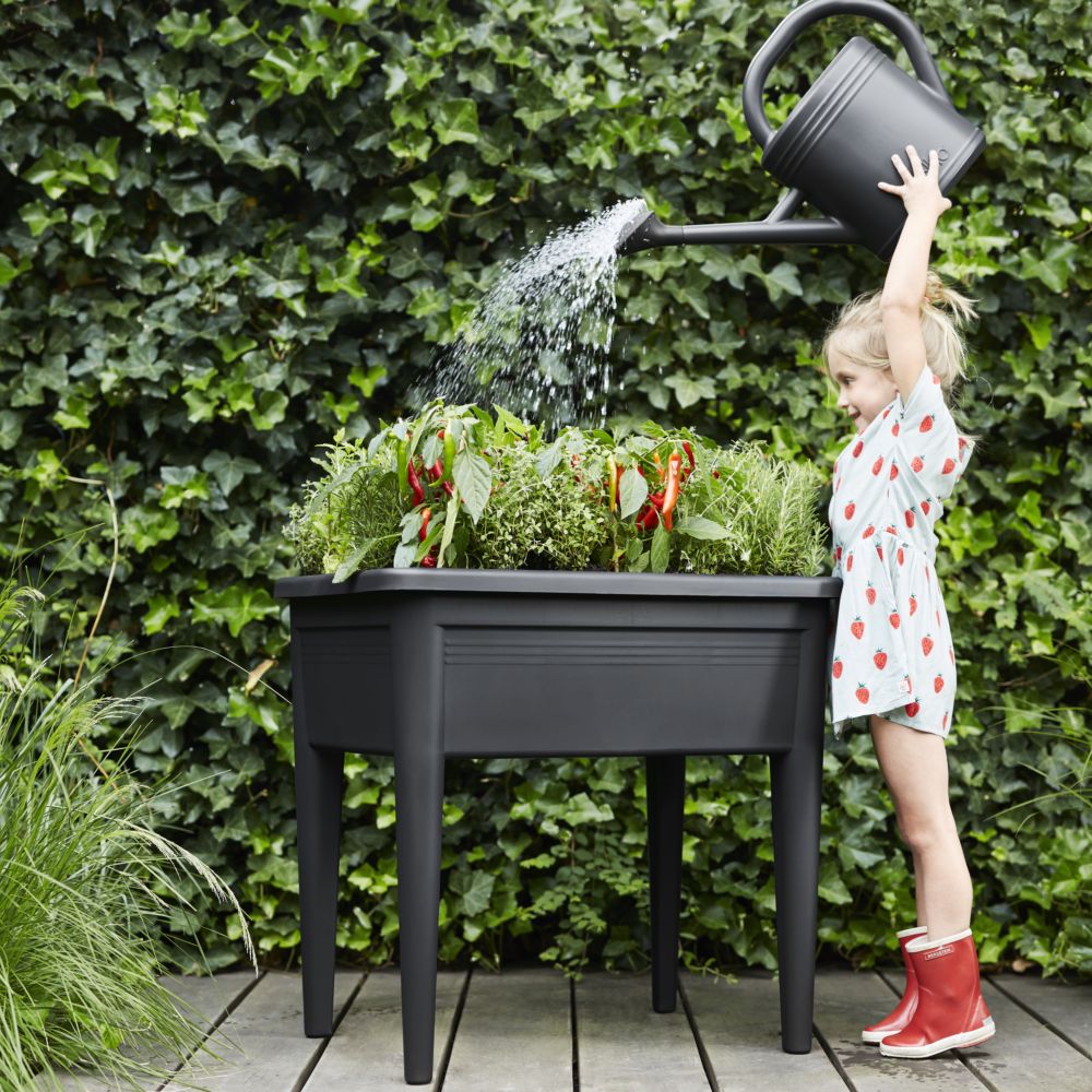 Carré potager sur pied Elho Green Basics XXL  L77 H73 cm noir
