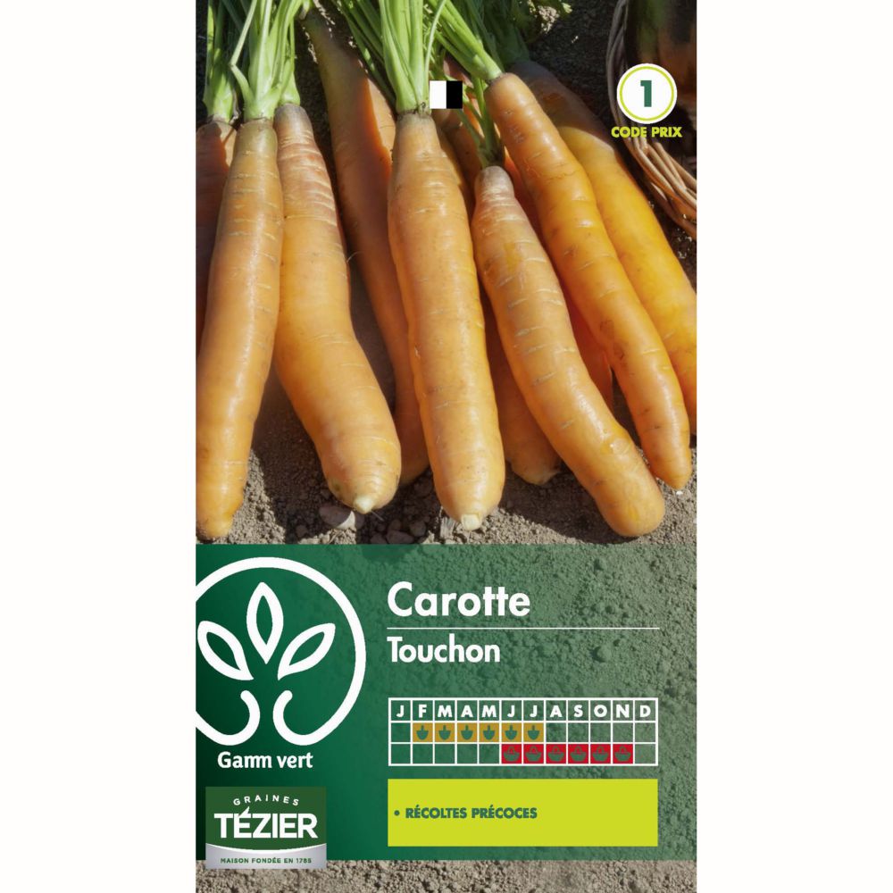 Carotte Touchon