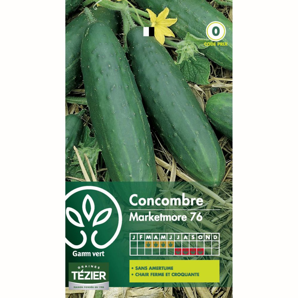 Concombre marketmore 76