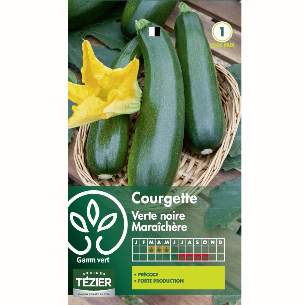 Courgette verte noire maraîchère