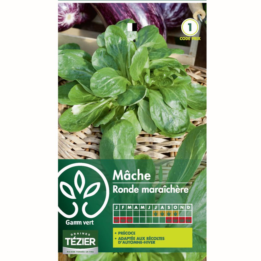 Mâche ronde maraîchère
