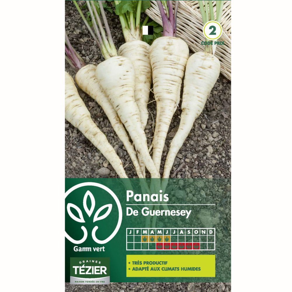 Panais demi-long de Guernesey
